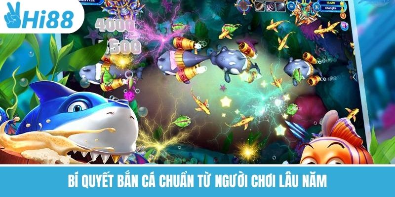 Bí quyết bắn cá chuẩn từ người chơi lâu năm